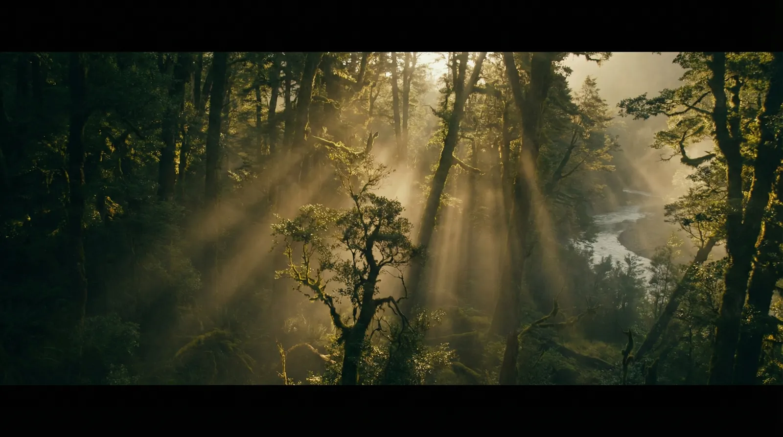 偷香电影 自然纪录片风格调色案例